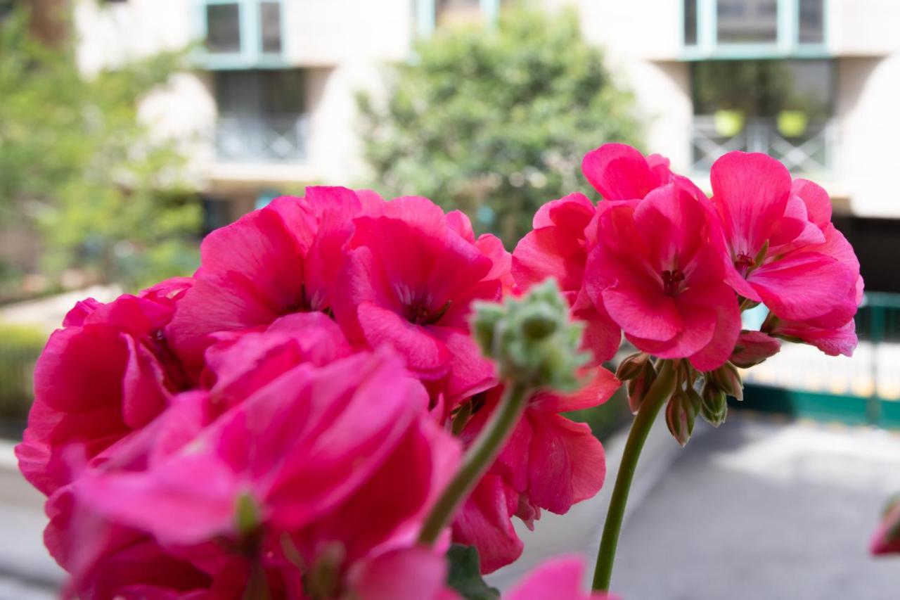 Boutique Apartment Nice Center Beach Free Parking エクステリア 写真